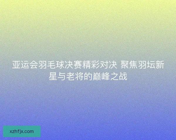亚运会羽毛球决赛精彩对决 聚焦羽坛新星与老将的巅峰之战