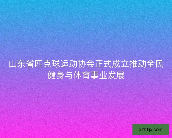 山东省匹克球运动协会正式成立推动全民健身与体育事业发展